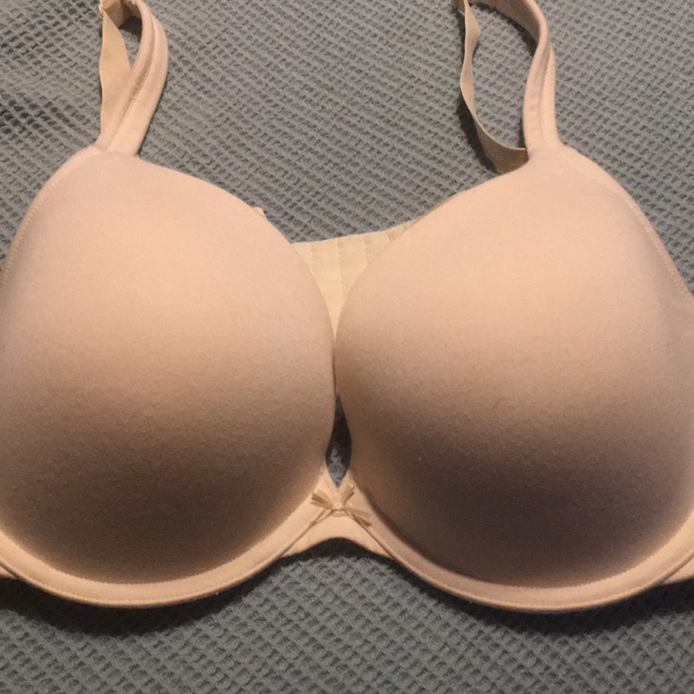 Lane Bryant Cacique